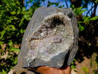 Natural Window Amethyst Quartz Matrix Specimen x 1 From Brandberg, Namibia