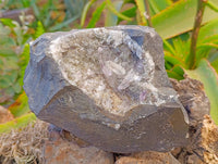 Natural Window Amethyst Quartz Matrix Specimen x 1 From Brandberg, Namibia