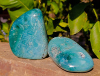 Polished Emerald Mtorolite Free Forms x 6 From Mutorashanga, Zimbabwe - Toprock Gemstones and Minerals 