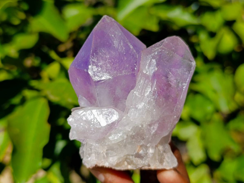 Natural Jacaranda Amethyst Quartz Crystals x 12 From Mumbwa, Zambia - Toprock Gemstones and Minerals 