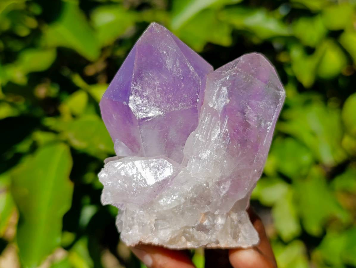 Natural Jacaranda Amethyst Quartz Crystals x 12 From Mumbwa, Zambia - Toprock Gemstones and Minerals 