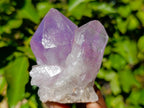 Natural Jacaranda Amethyst Quartz Crystals x 12 From Mumbwa, Zambia - Toprock Gemstones and Minerals 