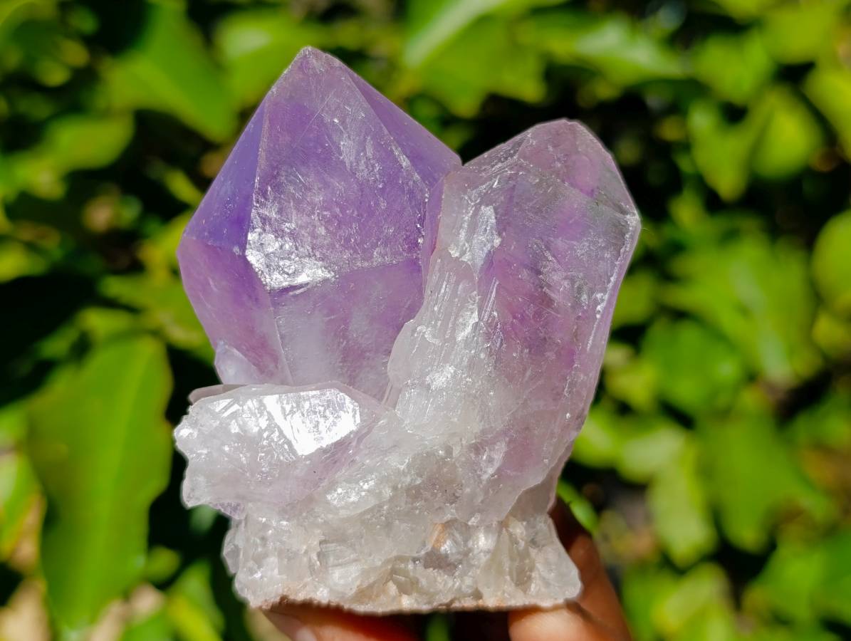 Natural Jacaranda Amethyst Quartz Crystals x 12 From Mumbwa, Zambia - Toprock Gemstones and Minerals 