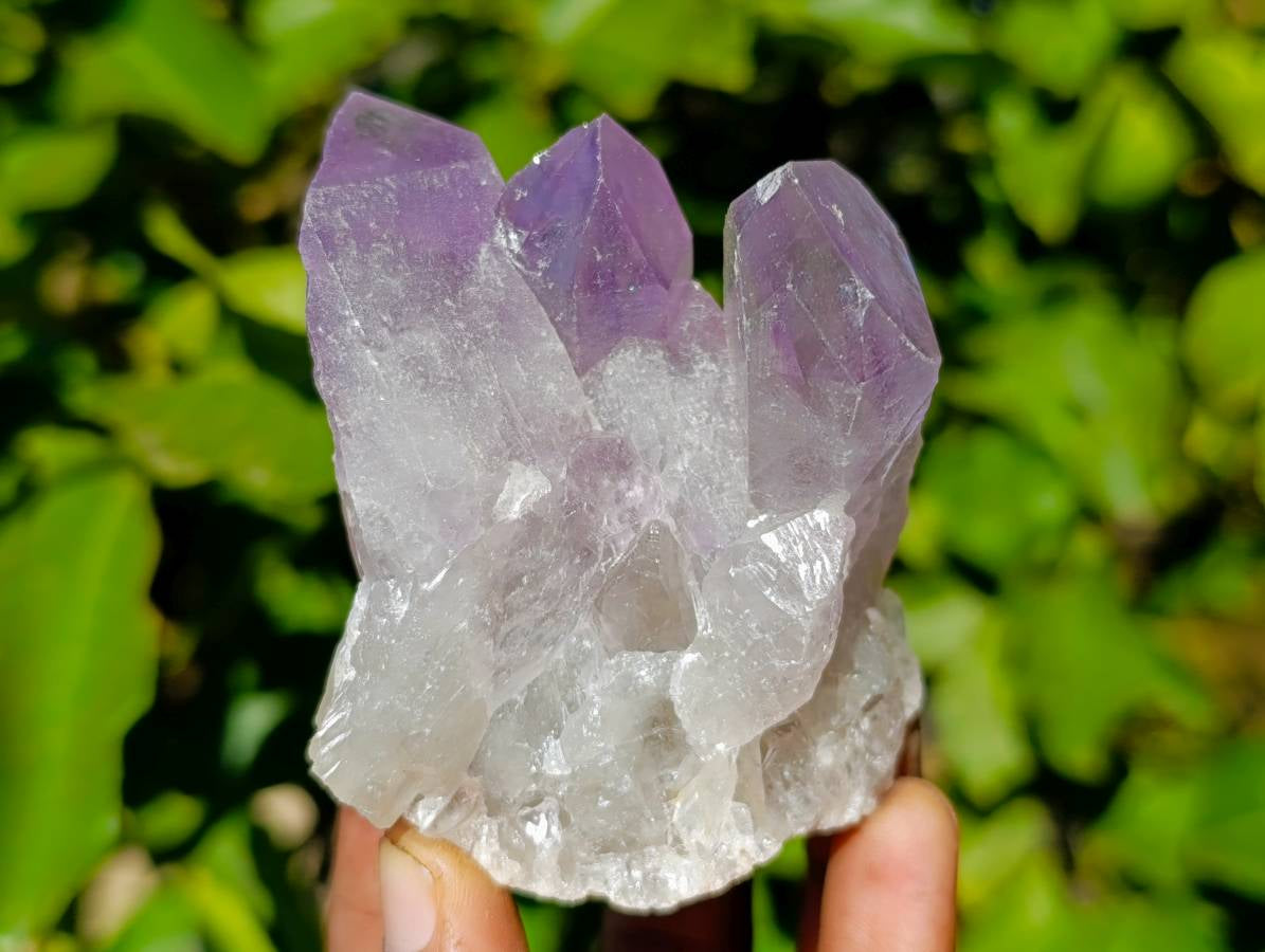 Natural Jacaranda Amethyst Quartz Crystals x 12 From Mumbwa, Zambia - Toprock Gemstones and Minerals 