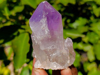 Natural Jacaranda Amethyst Quartz Crystals x 12 From Mumbwa, Zambia
