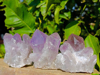 Natural Jacaranda Amethyst Quartz Crystals x 12 From Mumbwa, Zambia
