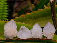 Natural Amethyst Spirit Quartz Crystals x 35 From Boekenhouthoek, South Africa