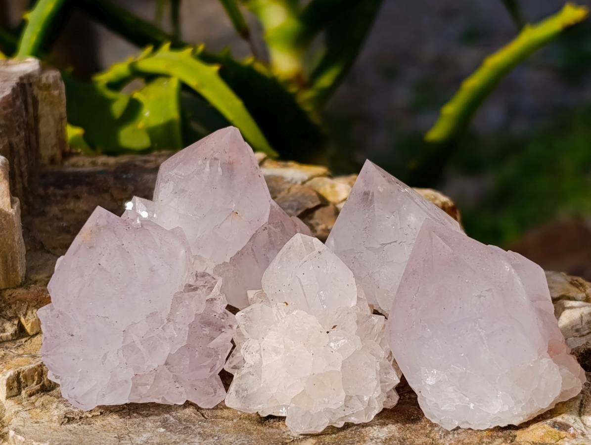 Natural Amethyst Spirit Quartz Crystals x 35 From Boekenhouthoek, South Africa - Toprock Gemstones and Minerals 