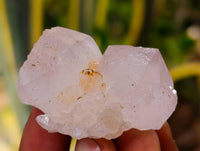 Natural Amethyst Spirit Quartz Crystals x 35 From Boekenhouthoek, South Africa