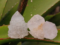 Natural Amethyst Spirit Quartz Crystals x 35 From Boekenhouthoek, South Africa