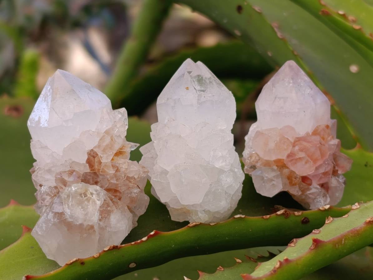 Natural Amethyst Spirit Quartz Crystals x 35 From Boekenhouthoek, South Africa - Toprock Gemstones and Minerals 