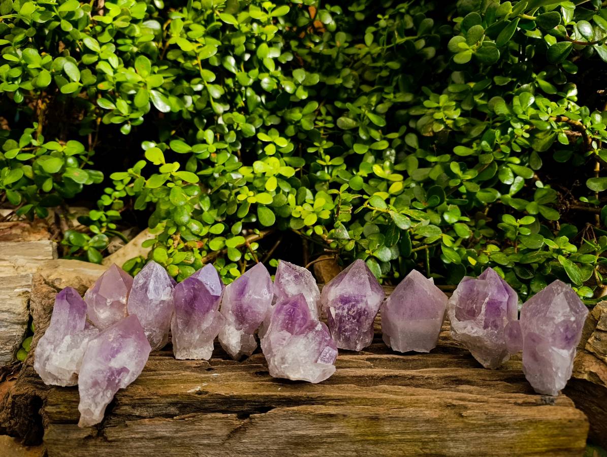 Natural Jacaranda Amethyst Quartz Crystals x 12 From Mumbwa, Zambia - Toprock Gemstones and Minerals 