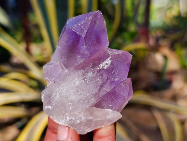 Natural Jacaranda Amethyst Quartz Crystals x 12 From Mumbwa, Zambia