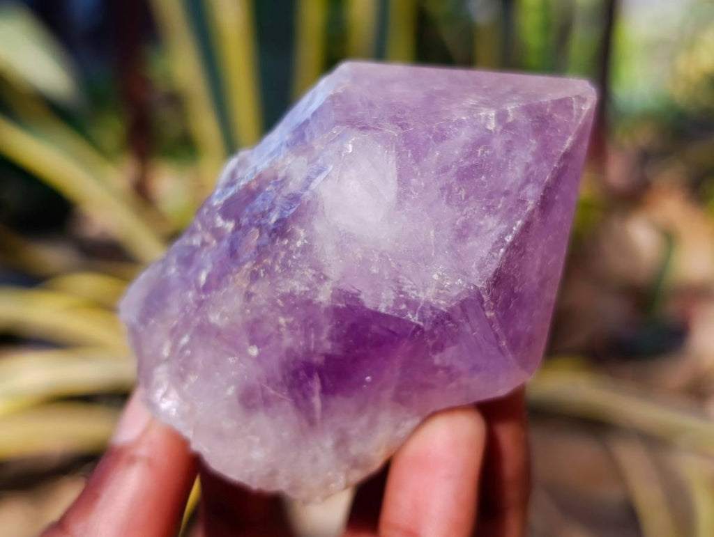 Natural Jacaranda Amethyst Quartz Crystals x 12 From Mumbwa, Zambia - Toprock Gemstones and Minerals 