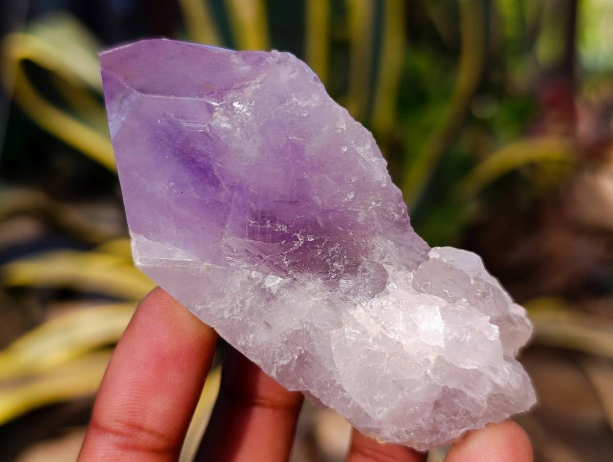 Natural Jacaranda Amethyst Quartz Crystals x 12 From Mumbwa, Zambia - Toprock Gemstones and Minerals 