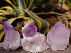 Natural Jacaranda Amethyst Quartz Crystals x 12 From Mumbwa, Zambia - Toprock Gemstones and Minerals 