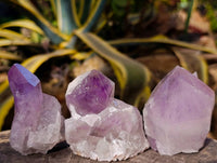 Natural Jacaranda Amethyst Quartz Crystals x 12 From Mumbwa, Zambia