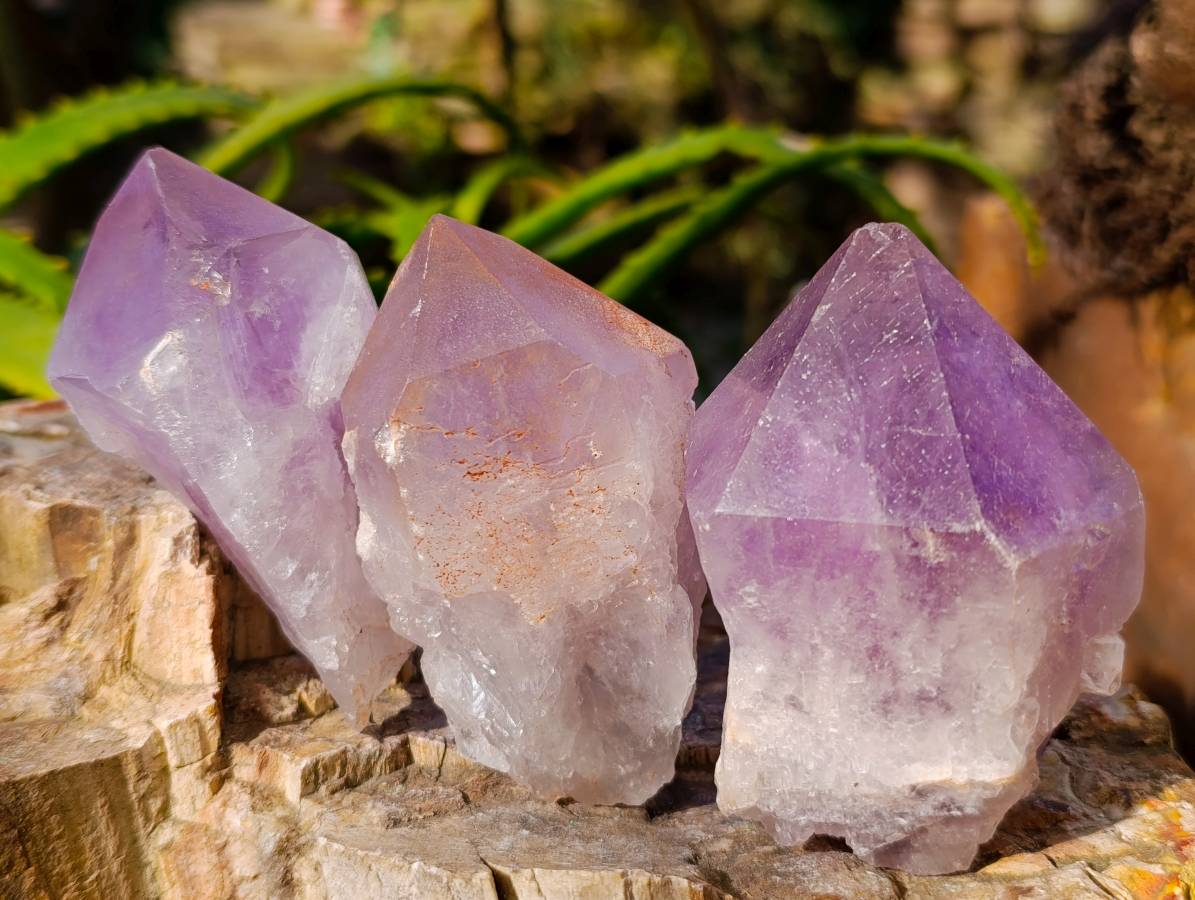Natural Jacaranda Amethyst Quartz Crystals x 12 From Mumbwa, Zambia - Toprock Gemstones and Minerals 