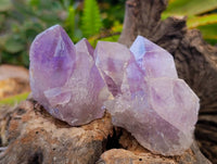 Natural Jacaranda Amethyst Quartz Crystals x 12 From Mumbwa, Zambia