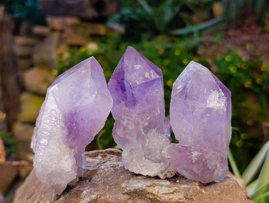 Natural Jacaranda Amethyst Quartz Crystals x 12 From Mumbwa, Zambia - Toprock Gemstones and Minerals 