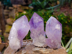 Natural Jacaranda Amethyst Quartz Crystals x 12 From Mumbwa, Zambia - Toprock Gemstones and Minerals 