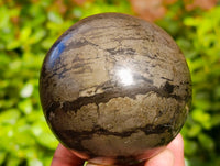 Polished Rare Pharaoh Stone Pyrite in Basalt Spheres x 2 Iron Duke Mine, Zimbabwe - Toprock Gemstones and Minerals 