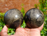 Polished Rare Pharaoh Stone Pyrite in Basalt Spheres x 2 Iron Duke Mine, Zimbabwe - Toprock Gemstones and Minerals 