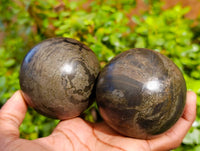 Polished Rare Pharaoh Stone Pyrite in Basalt Spheres x 2 Iron Duke Mine, Zimbabwe - Toprock Gemstones and Minerals 