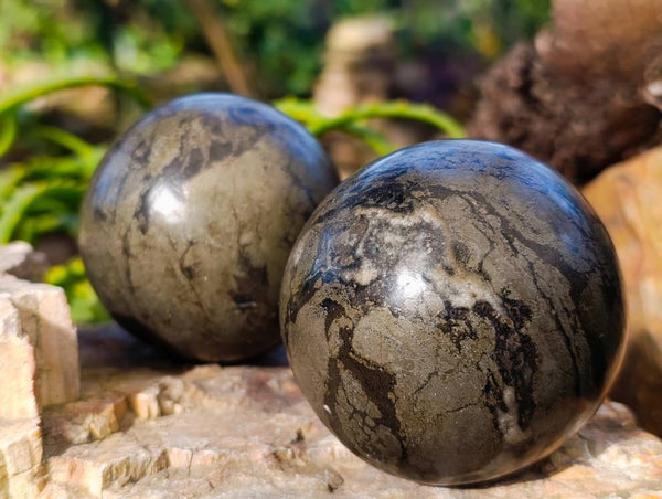 Polished Rare Pharaoh Stone Pyrite in Basalt Spheres x 2 Iron Duke Mine, Zimbabwe