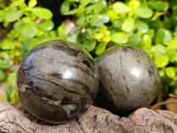 Polished Rare Pharaoh Stone Pyrite in Basalt Spheres x 2 Iron Duke Mine, Zimbabwe - Toprock Gemstones and Minerals 