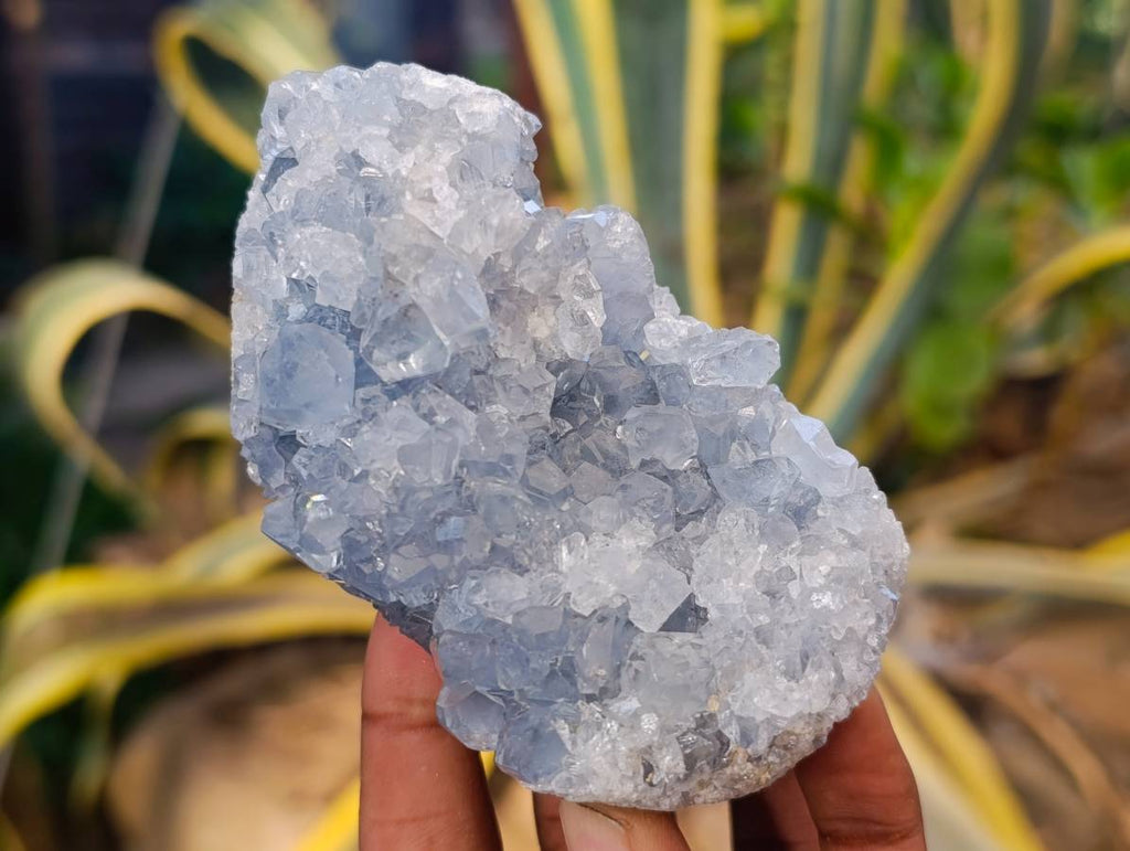 Natural Celestite Specimens x 3 From Sakoany, Madagascar - Toprock Gemstones and Minerals 