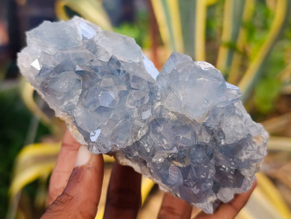 Natural Celestite Specimens x 3 From Sakoany, Madagascar