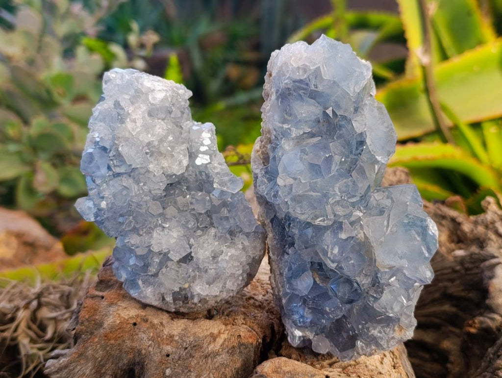 Natural Celestite Specimens x 3 From Sakoany, Madagascar - Toprock Gemstones and Minerals 