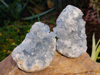 Natural Celestite Specimens x 3 From Sakoany, Madagascar - Toprock Gemstones and Minerals 
