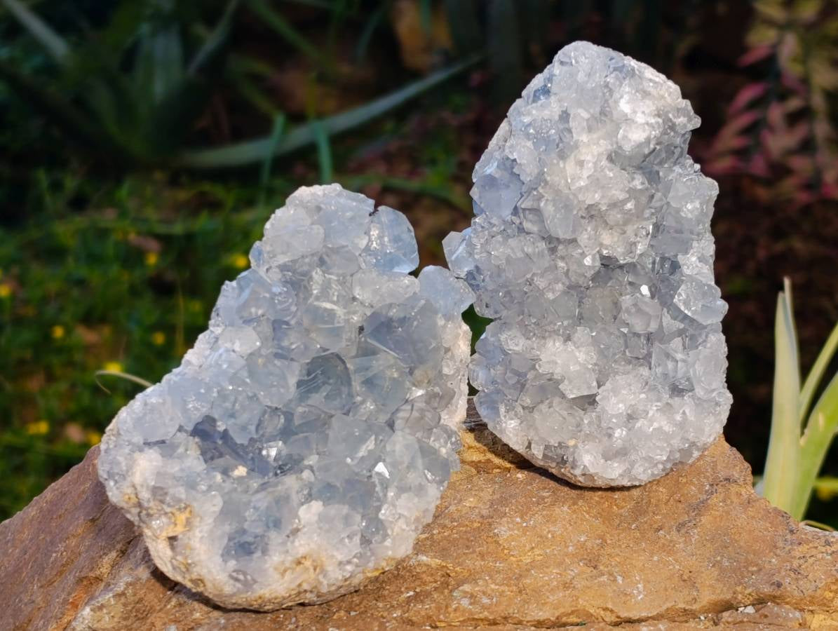 Natural Celestite Specimens x 3 From Sakoany, Madagascar - Toprock Gemstones and Minerals 