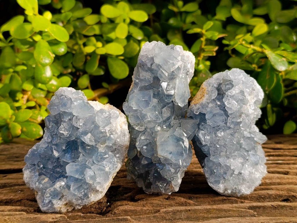 Natural Celestite Specimens x 3 From Sakoany, Madagascar - Toprock Gemstones and Minerals 