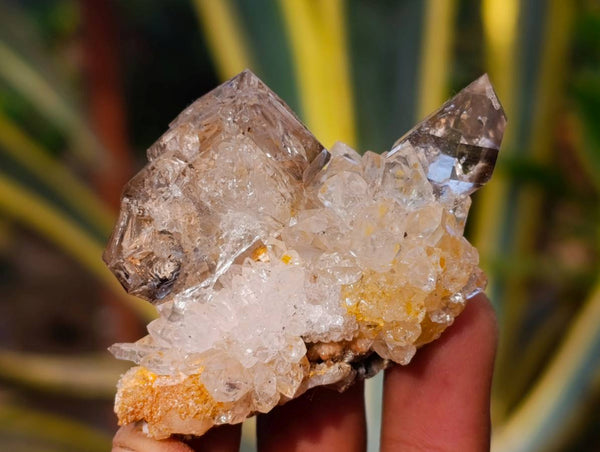 Natural Mixed Quartz Clusters x 12 From Brandberg, Namibia