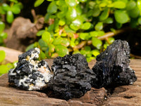 Natural Schorl Black Tourmaline Specimens x 12 From Erongo, Namibia - Toprock Gemstones and Minerals 
