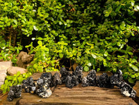 Natural Schorl Black Tourmaline Specimens x 12 From Erongo, Namibia - Toprock Gemstones and Minerals 