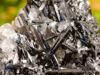 Natural Schorl Black Tourmaline Specimens x 12 From Erongo, Namibia - Toprock Gemstones and Minerals 