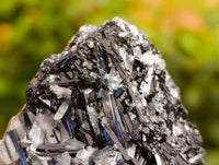 Natural Schorl Black Tourmaline Specimens x 12 From Erongo, Namibia - Toprock Gemstones and Minerals 