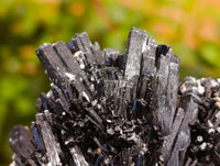 Natural Schorl Black Tourmaline Specimens x 12 From Erongo, Namibia - Toprock Gemstones and Minerals 