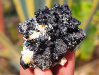 Natural Schorl Black Tourmaline Specimens x 12 From Erongo, Namibia - Toprock Gemstones and Minerals 