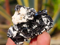Natural Schorl Black Tourmaline Specimens x 12 From Erongo, Namibia - Toprock Gemstones and Minerals 