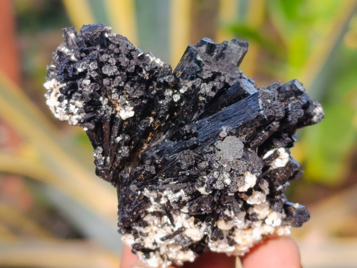 Natural Schorl Black Tourmaline Specimens x 12 From Erongo, Namibia - Toprock Gemstones and Minerals 