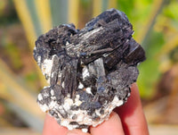 Natural Schorl Black Tourmaline Specimens x 12 From Erongo, Namibia - Toprock Gemstones and Minerals 