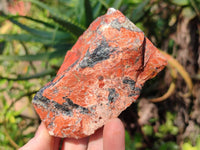 Natural Brecciated Jasper Cobbed Pieces x 19 From South Africa