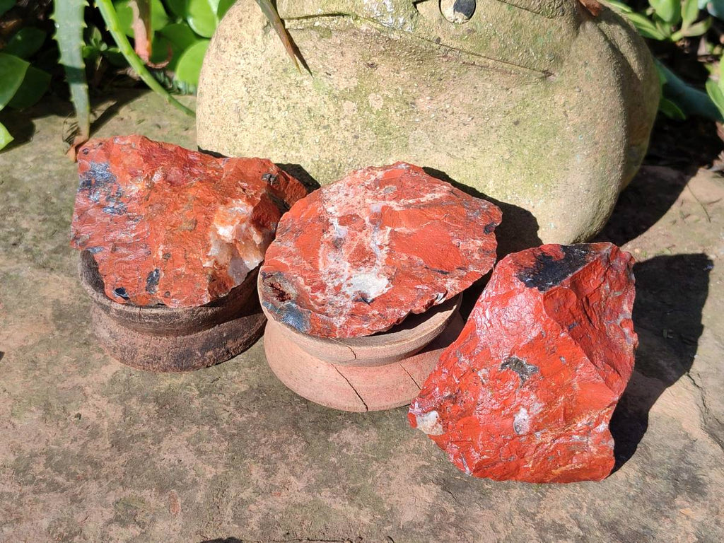 Natural Brecciated Jasper Cobbed Pieces x 19 From South Africa - Toprock Gemstones and Minerals 