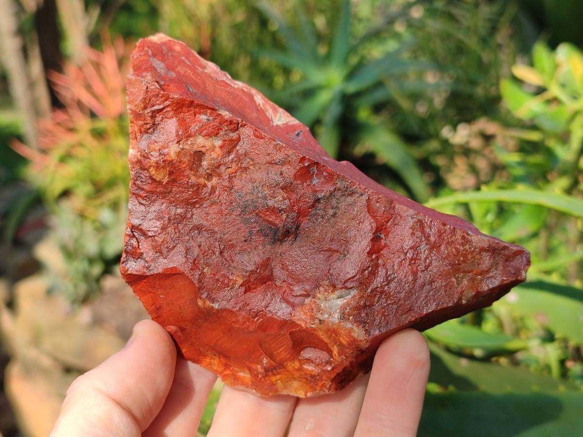 Natural Brecciated Jasper Cobbed Pieces x 19 From South Africa - Toprock Gemstones and Minerals 