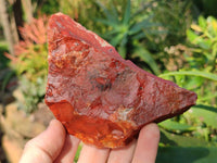 Natural Brecciated Jasper Cobbed Pieces x 19 From South Africa